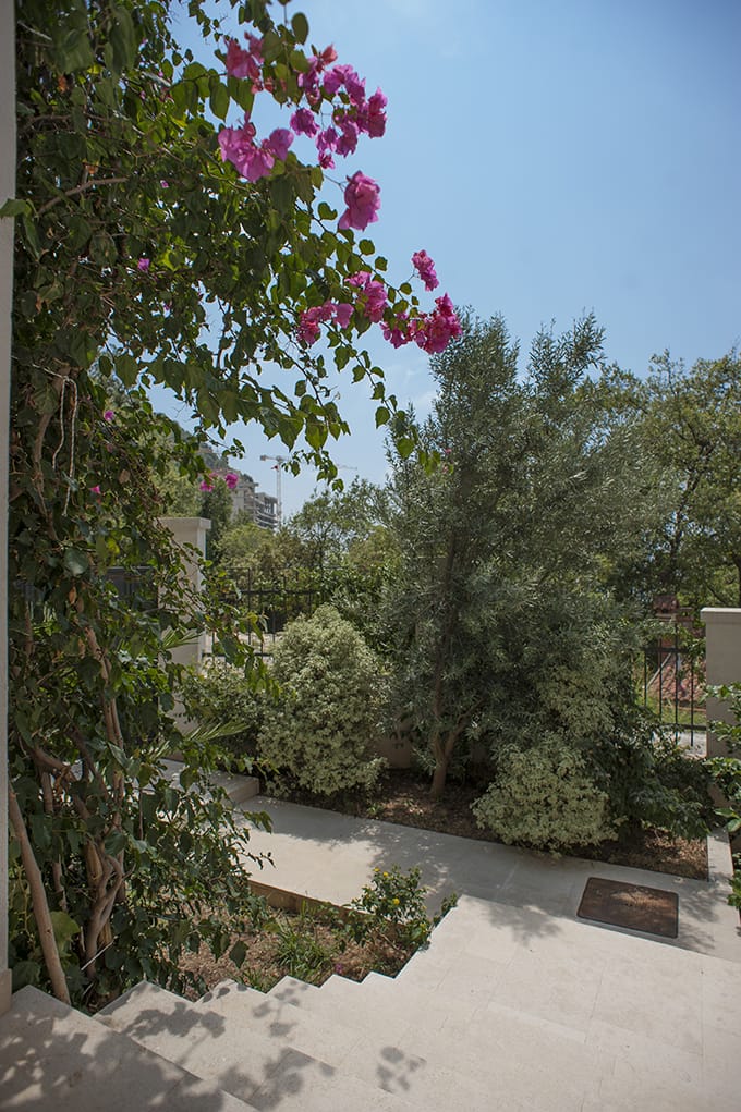 Cozy garden with blooming bougainvillea and olive trees on the villa grounds in Perazica Do, Montenegro.