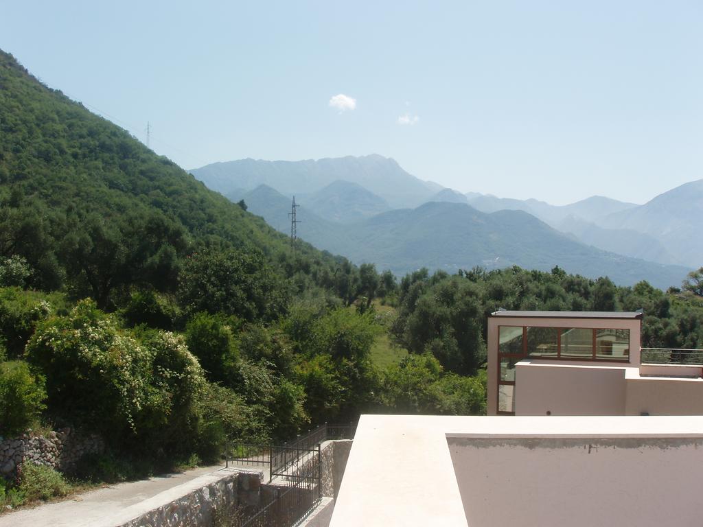 Panoramablick auf die Berge und den grünen Garten von der Terrasse des Hauses in Šušanj, Bar-Riviera, Montenegro.