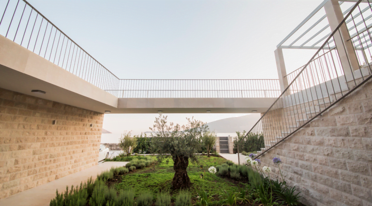 Karadağ, Herceg Novi’de modern villa: taş kaplama, zeytin ağacı bulunan peyzajlı bahçe ve teras.