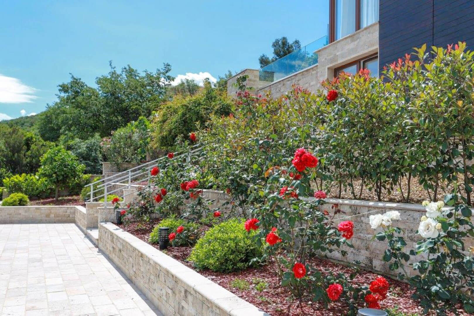 Terrace of a modern villa in Krašići, Montenegro, with blooming roses, stone finishes, and landscape design.