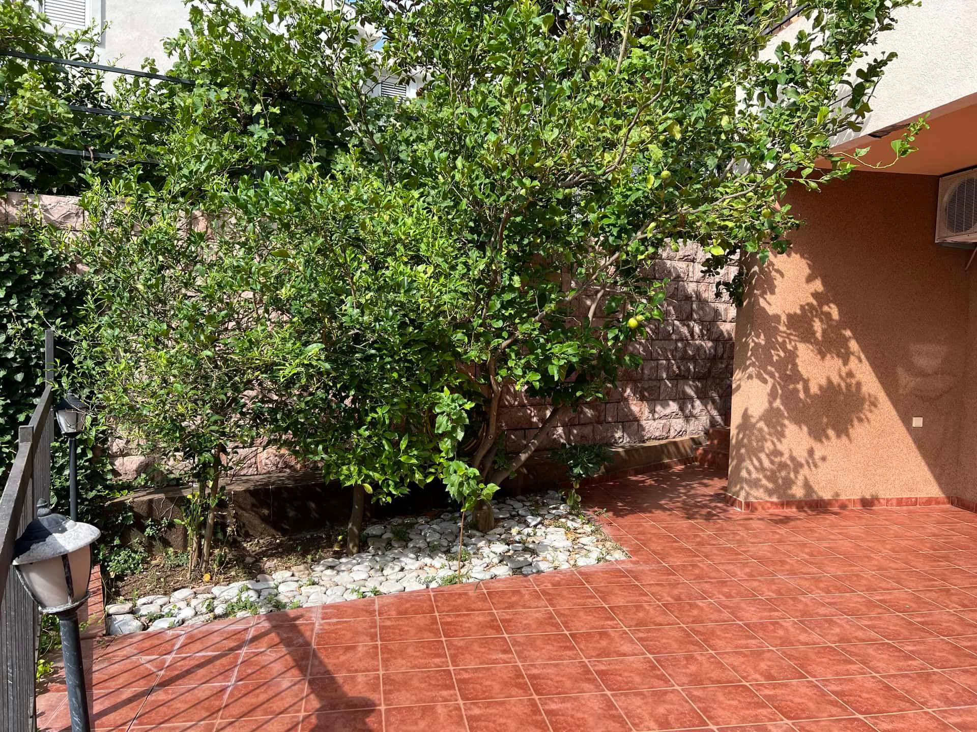 Terrasse cosy avec un citronnier et une maçonnerie en pierre près d’un duplex à Petrovac, Monténégro. Aménagement paysager de la cour.