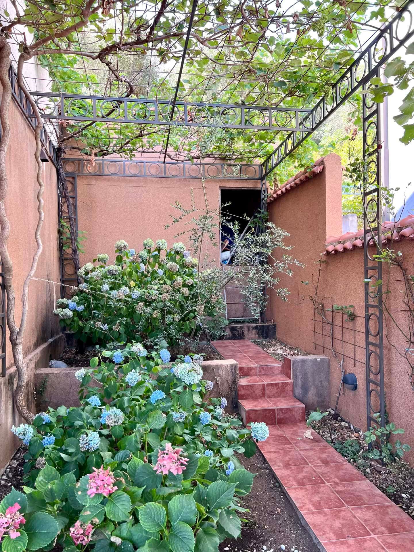 Cour intérieure chaleureuse avec pergola de vigne et hortensias en fleurs près d’un duplex à Petrovac, Monténégro.