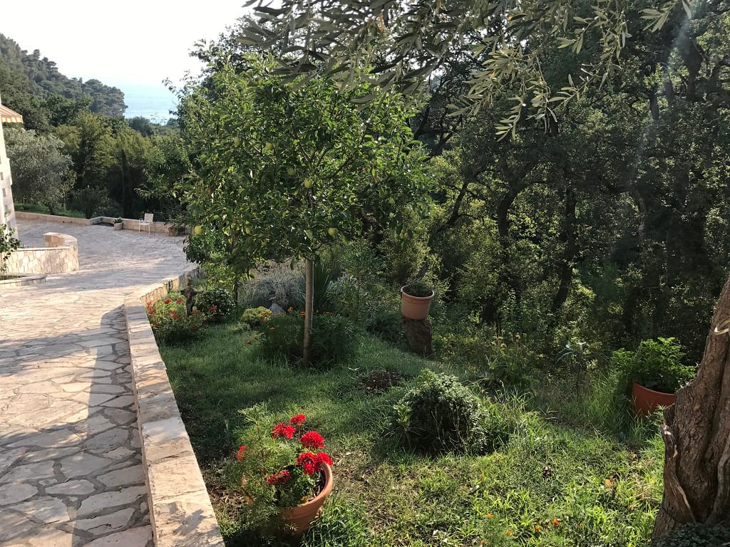Grüner Garten und Steinterrasse an der Wohnung in Petrovac, Montenegro, mit Blick auf das Meer und den Wald.