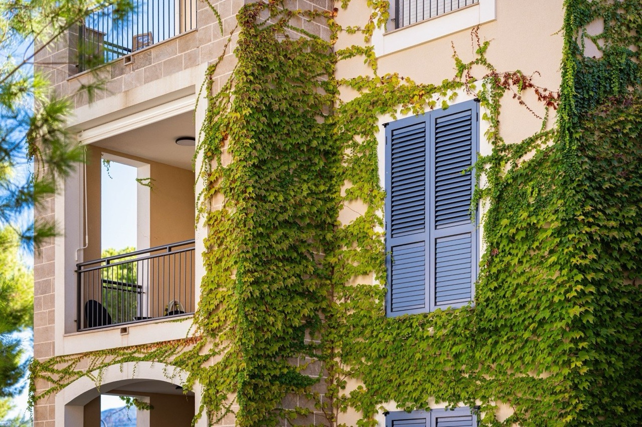 Fassade eines Hauses in Luštica Bay, Tivat, Montenegro: Balkon mit schmiedeeinfachem Geländer und von grünem Efeu umrankte Wände.