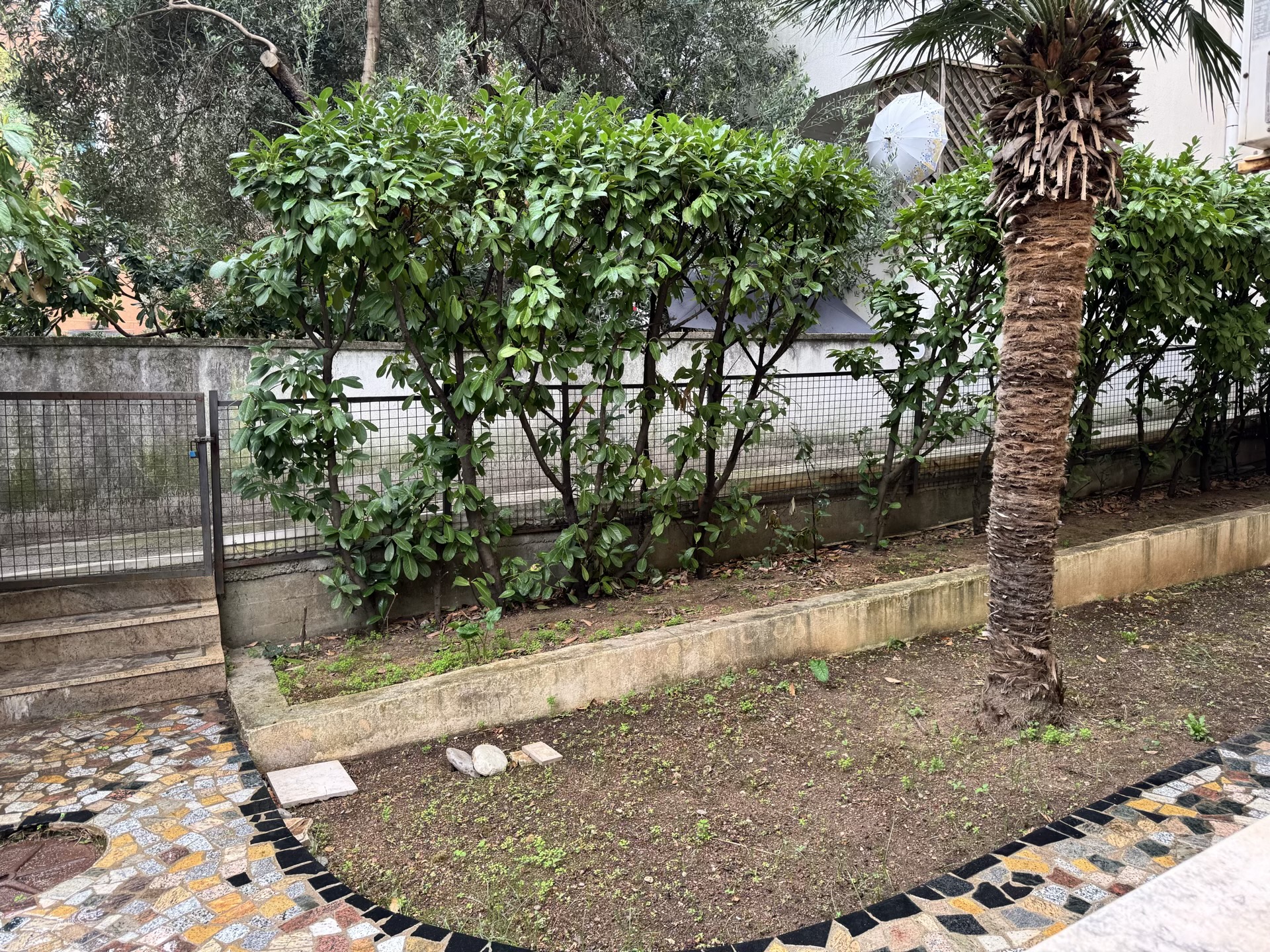 Gemütlicher privater Innenhof mit Palme und Mosaikweg an der Wohnung in Budva, Montenegro.