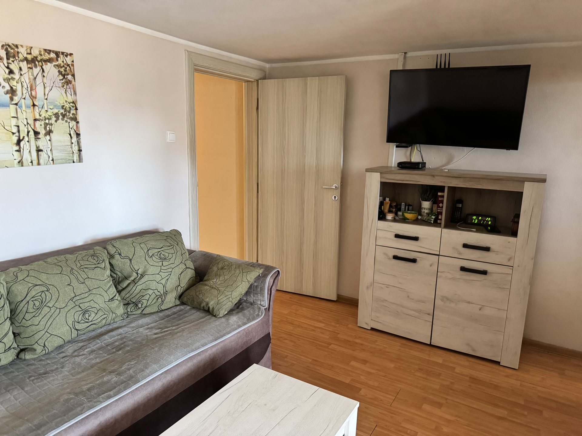 Gemütliches Wohnzimmer in einer Wohnung in Bečići, Montenegro: Sofa mit grünen Kissen, TV-Möbel und Laminatboden im Interieur.