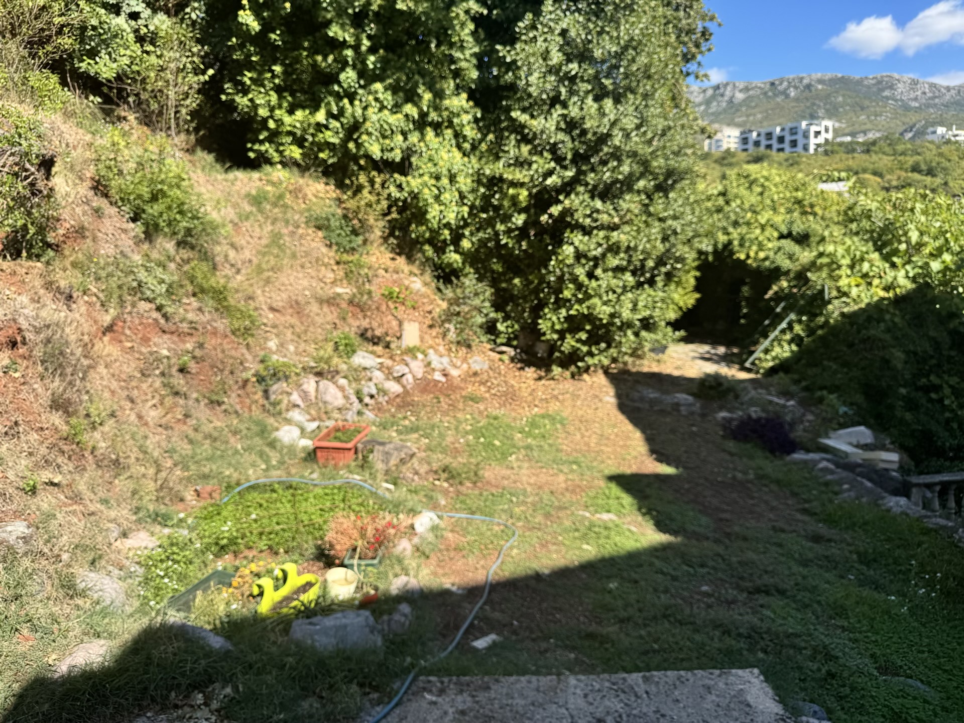 Grüne Gartenanlage mit Blick auf die Berge bei einer Wohnung in Bečići, Montenegro.