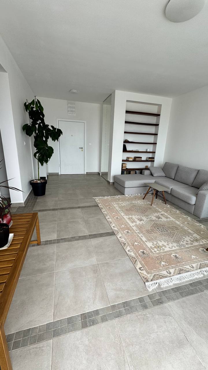 Svetao dnevni boravak u stanu u Budvi, Crna Gora: siva sofa, vintage tepih, ugradna polica i sobna biljka.