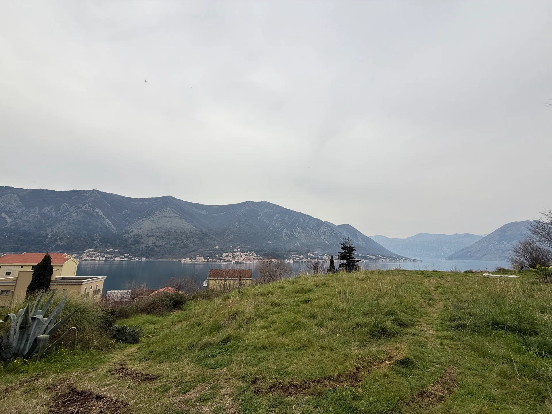 Green hill overlooking a bay and mountains. Houses, agave plants, and a grassy path are visible under an overcast sky.