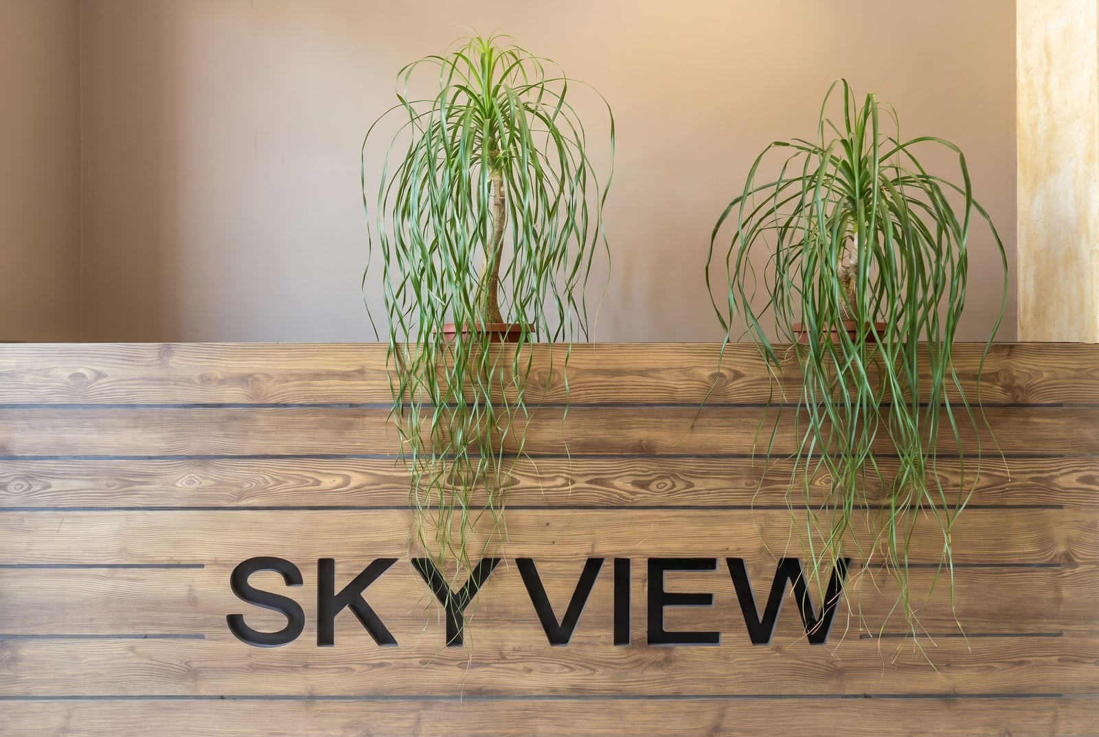 Стойка ресепшн с логотипом Sky View и декоративными растениями в интерьере апартаментов в Будве, Черногория.