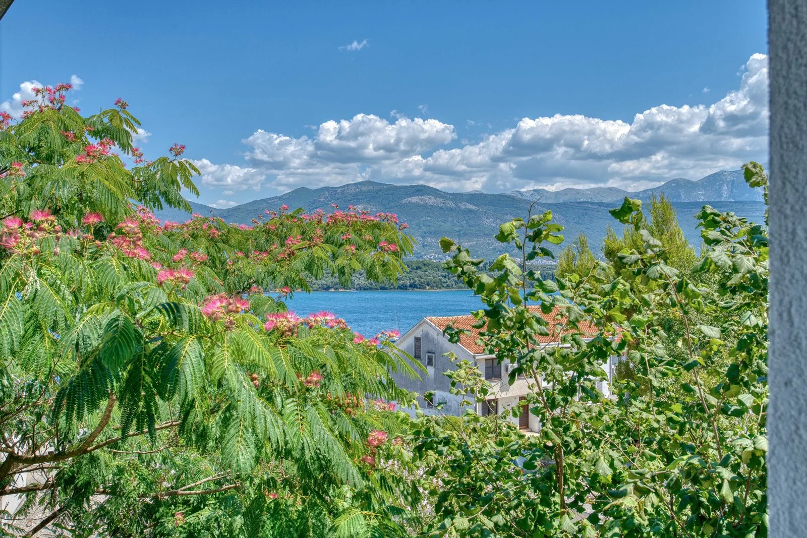 House in Tivat No. 2947