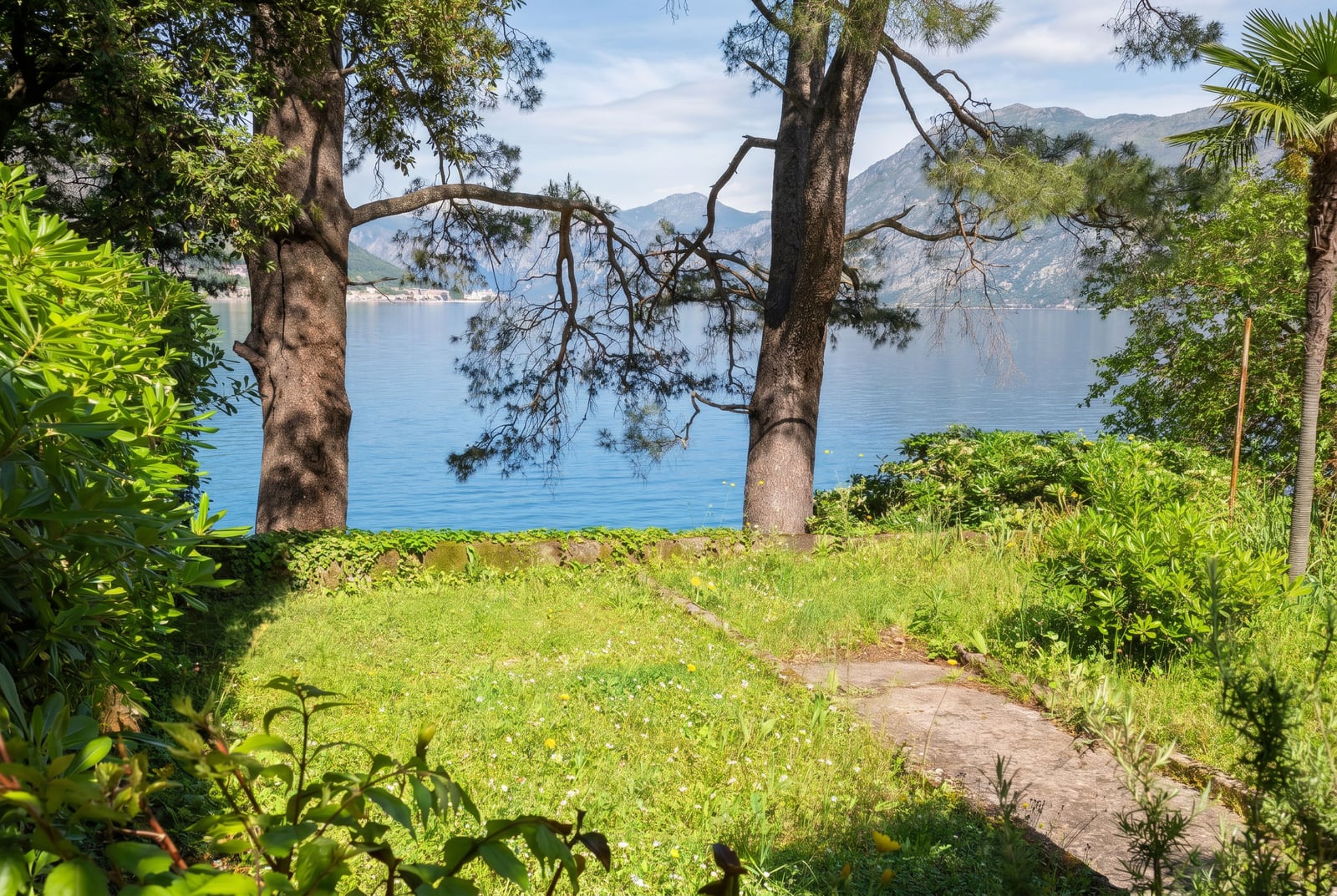 Green plot with a view of the sea and mountains in Dobrota, Montenegro. Direct access to the water, pine trees, and a landscaped garden.