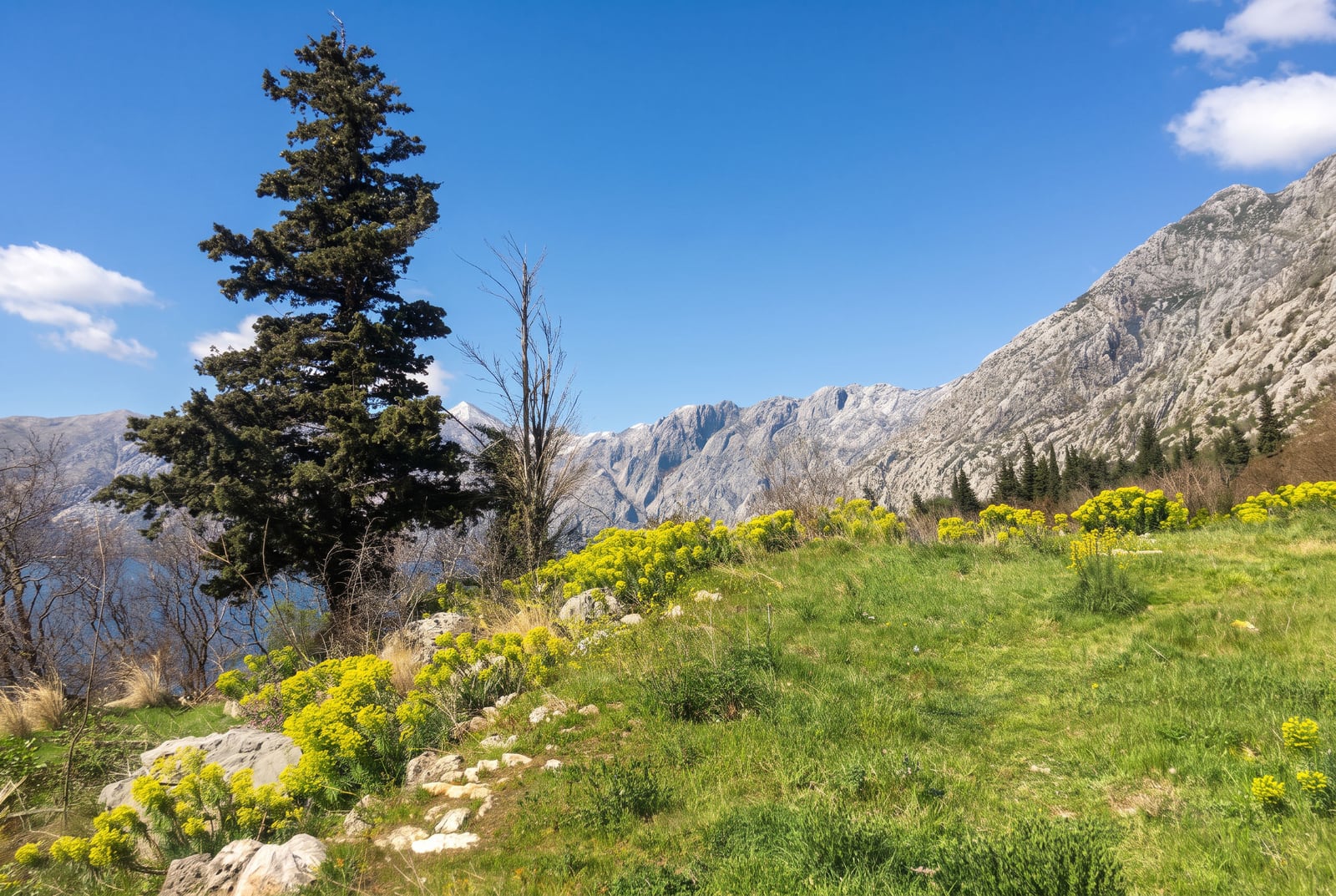 Panoramski pogled na planine i more sa zemljišta u Dobroti, Crna Gora
