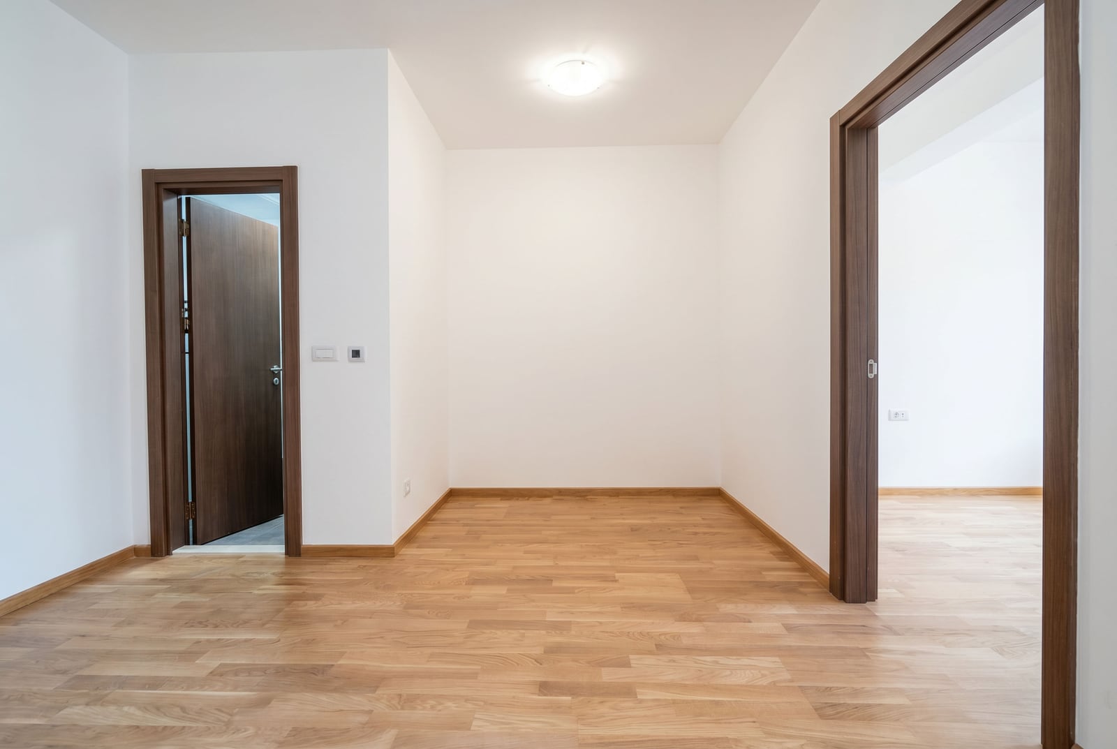 Apartment in Budva No. 2719