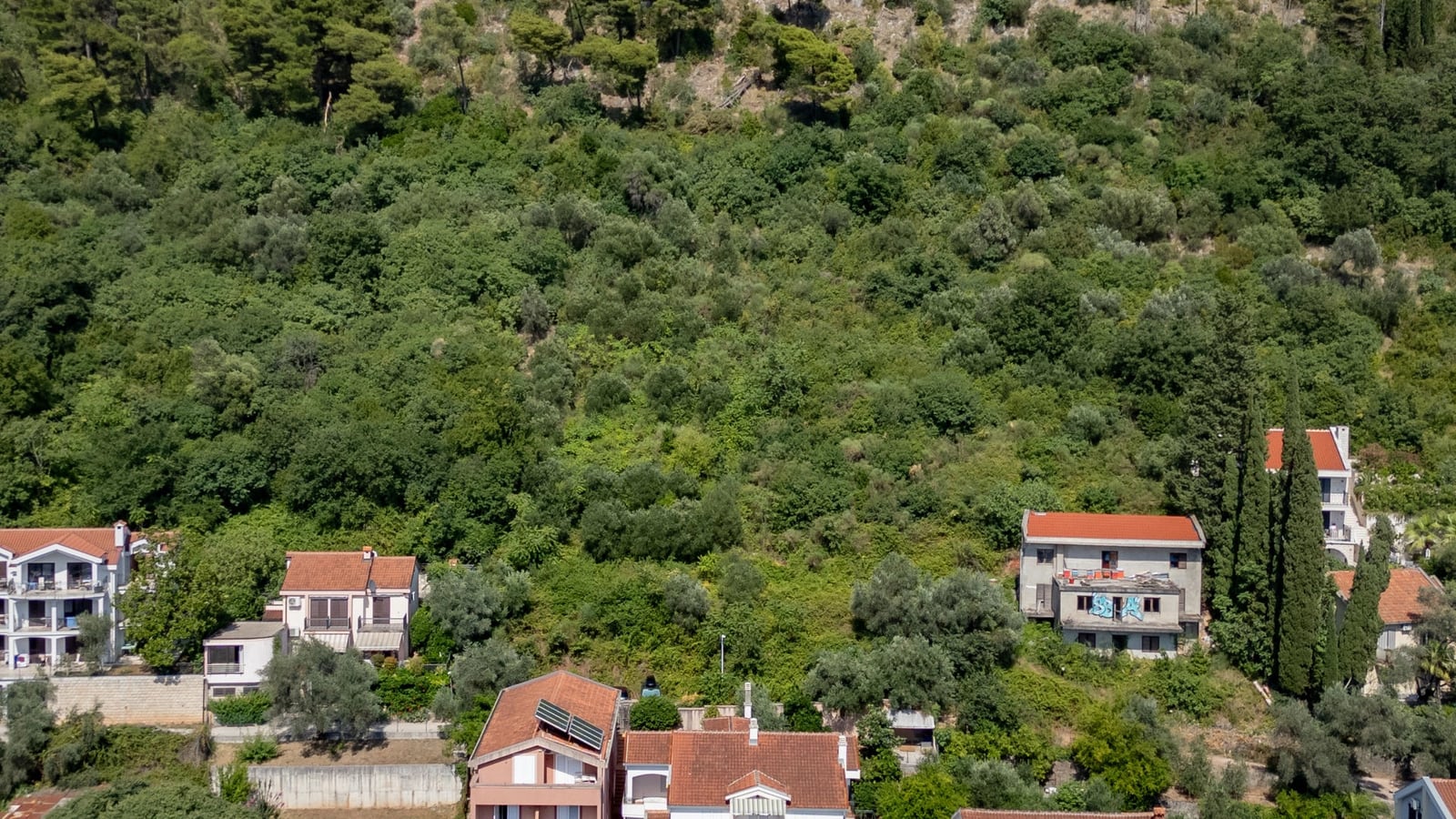 Zemlja u Budvi №2867
