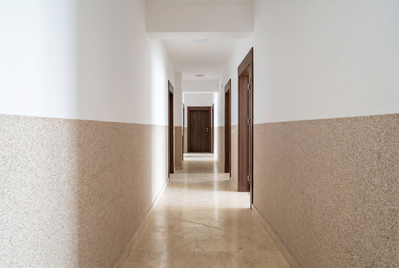 Apartment in Budva No. 2719