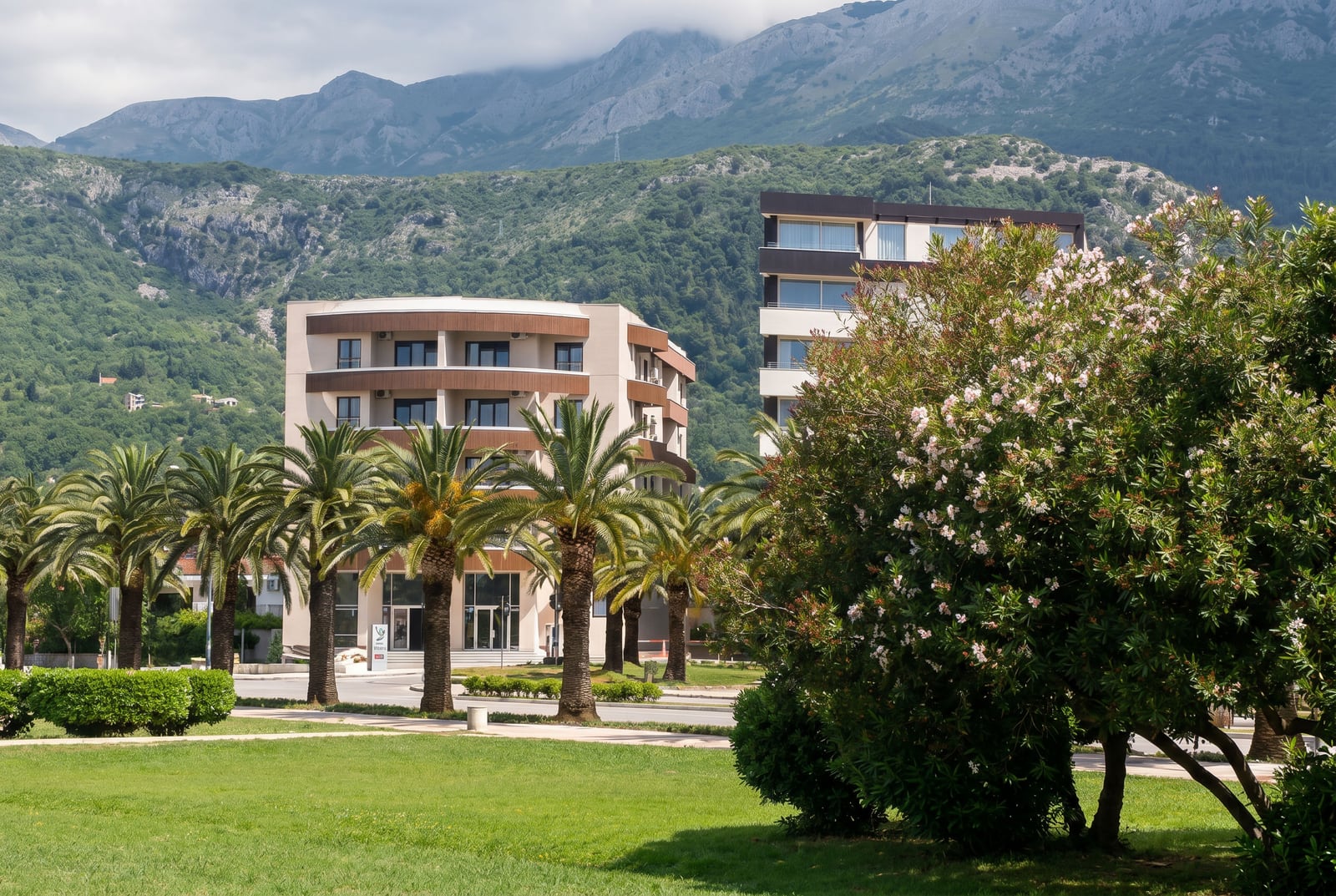 Modern residential complex in Budva, Montenegro: view of the building with palm trees, a green lawn, and a mountain landscape.