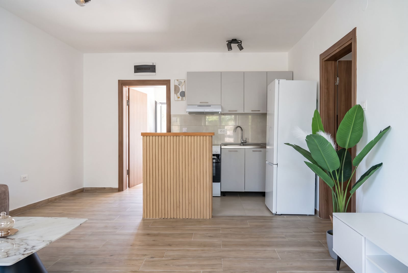 Modern kitchen-living room with furniture and appliances in an apartment in Bečići, Montenegro