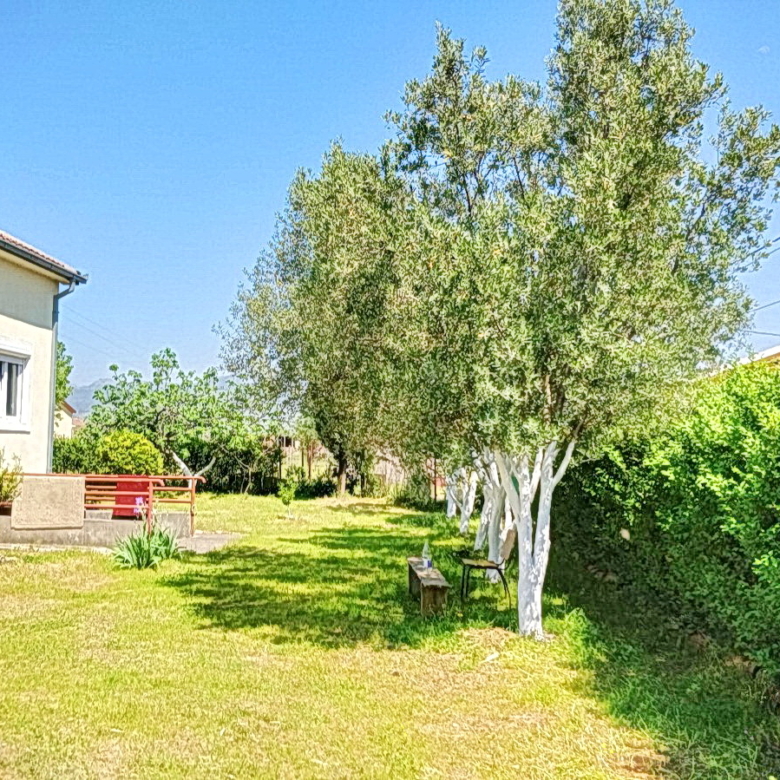 780